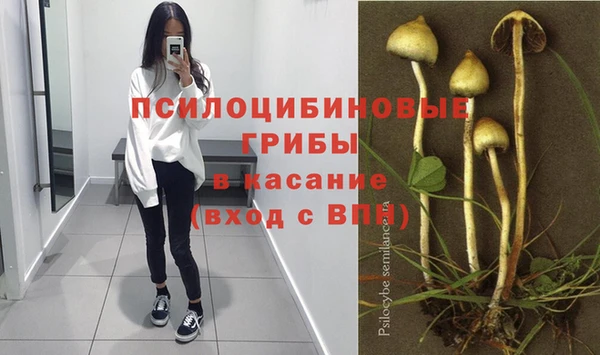 спайс Верея