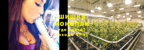 спайс Верея